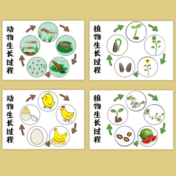 EX410 食物鏈學習套組 (4LE3 / 4LE4)