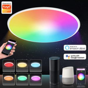 EXT012 IoT 智能吸頂燈